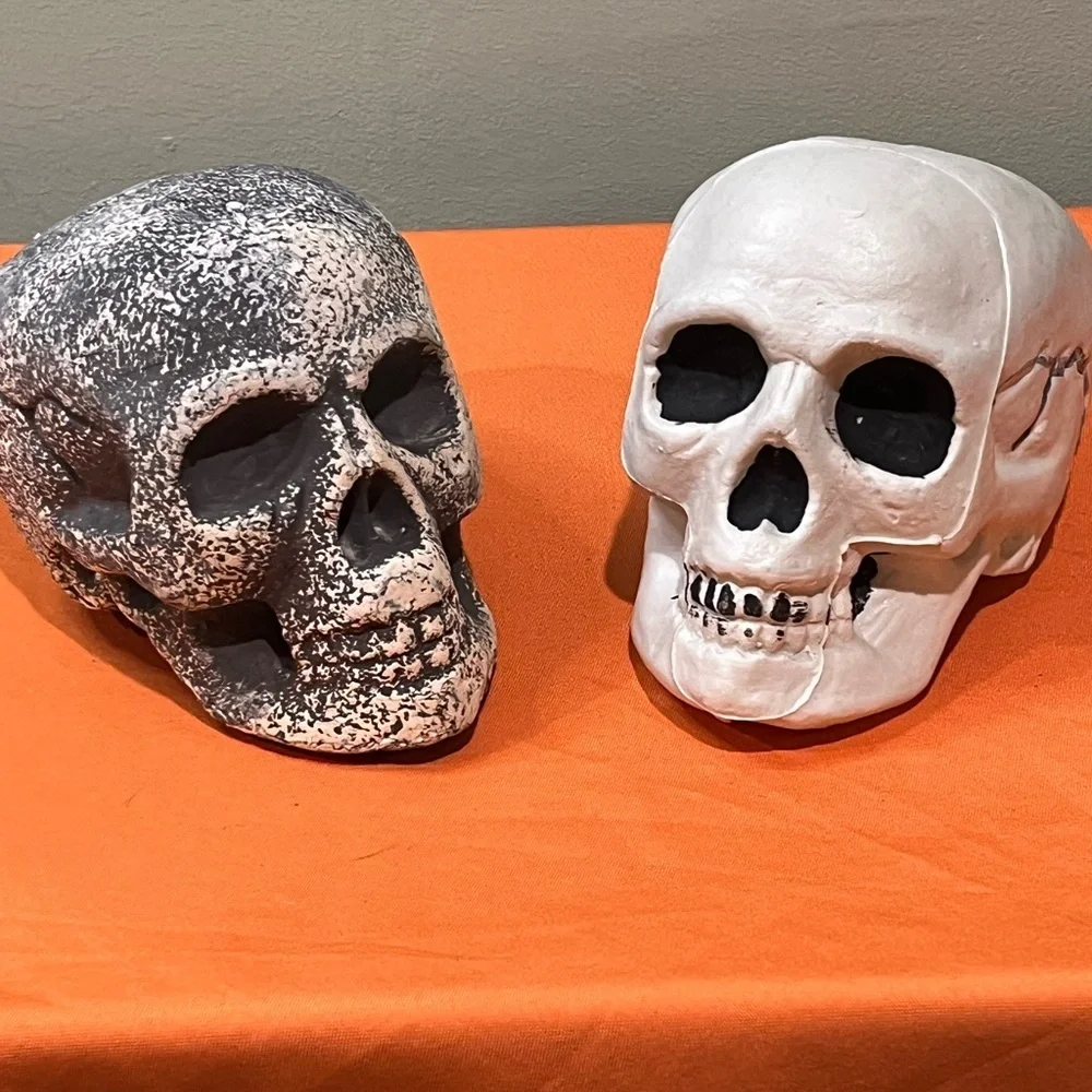 6/$25 Gray and White Skull Decor Set - Picture 15 of 15